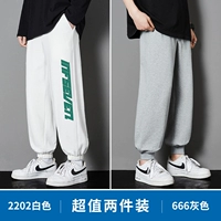 2202 белый +666 серый