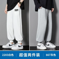 2203 белый +667 серый