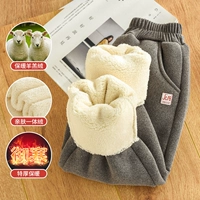 Серый [вечнозеленый ягненок]