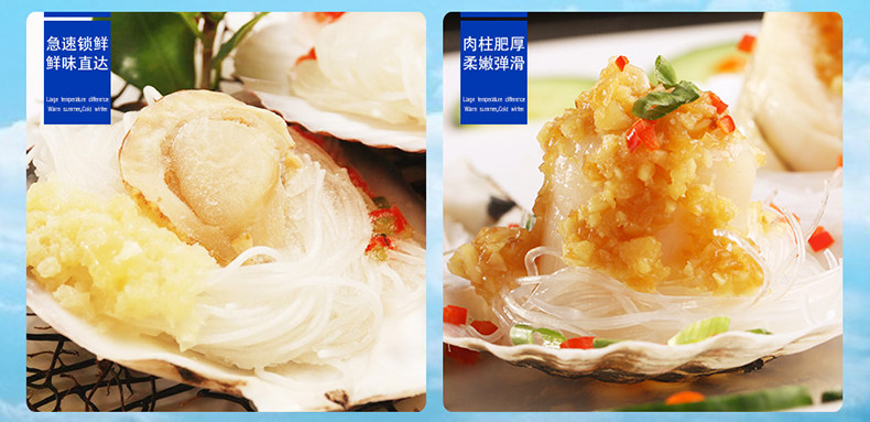 海洋世家 蒜蓉粉丝扇贝 280g*3袋 加热即食 图6