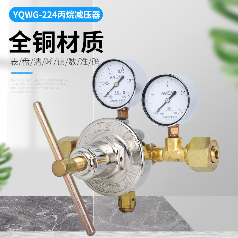 YQWG-224 propane duct pressure reducer large flow propane pressure reducer Shanghai card Shanghai pressure reducer factory