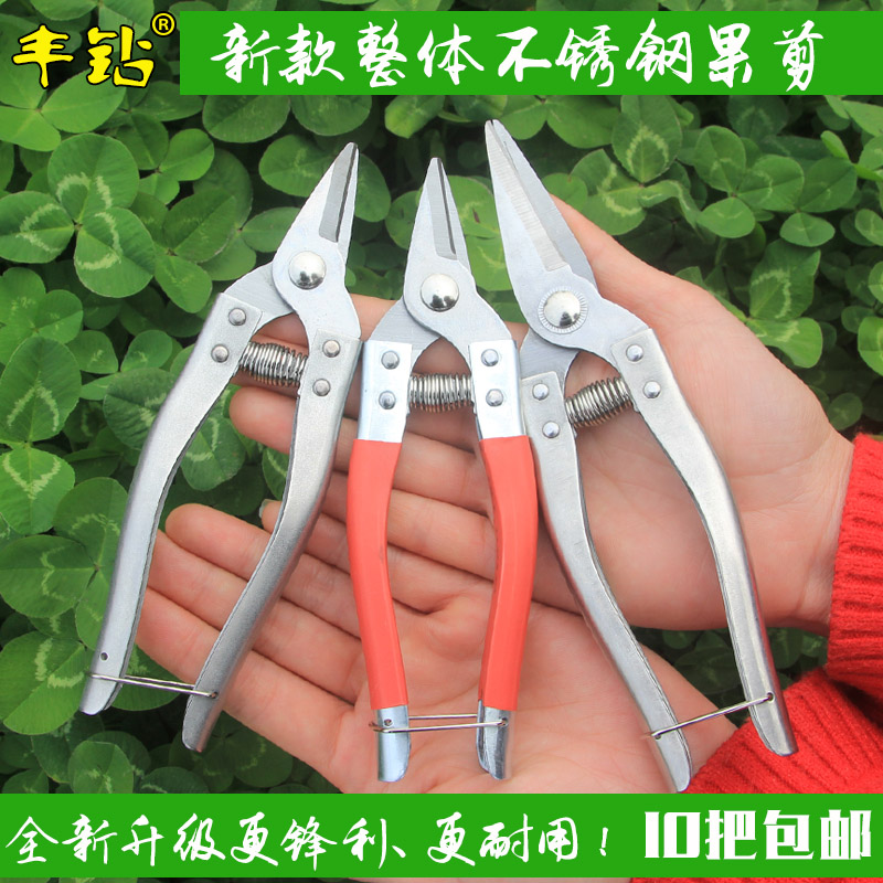 Round-head cutting with cutting fruit tree scissors for citrus cutting fruit scissors for citrus cutting fruit cutting