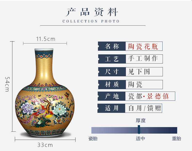 Jingdezhen ceramics of large vases, flower arrangement in modern Chinese style living room decoration vase TV ark, furnishing articles