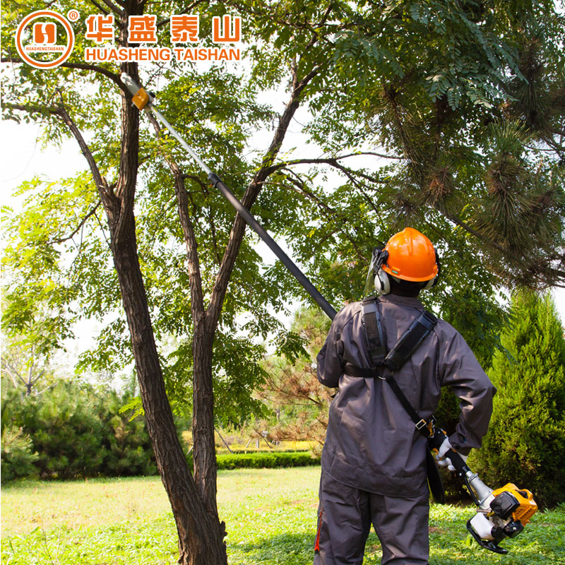 Shandong Huasheng High Branch Saw High Power QJB270 Gasoline High Branch Oil Saw Chain Saw Telescopic Work Rod 4 3 m