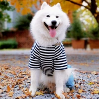 Плюсовый тибетский голубой (выцветший с недостатками)