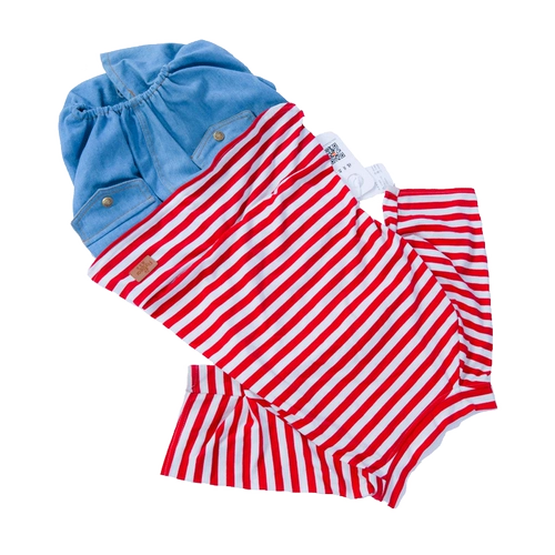 Середина -собачья собака четырех -кирки имеют дефекты по низким ценам, чтобы справиться с