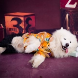 Yiyi  览 览 览   笮 笮 笮 笮 蠊钒 蠊钒 蠊钒 蠊钒 蠊钒 蠊钒 蠊钒 蠊钒 蠊钒