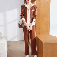 (коричневый костюм)