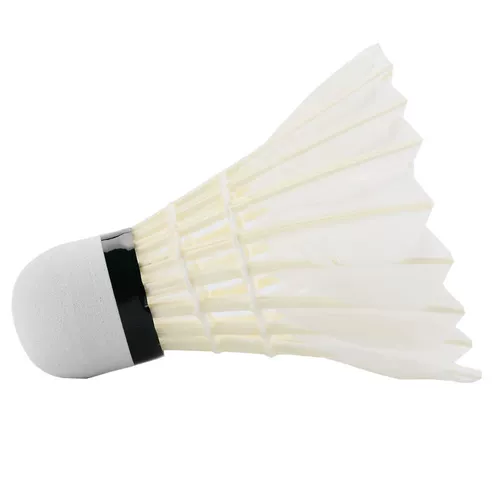 DHS Red Double Hi Badminton нелегко в гниле. 6 Институт и любительские конкурсы на открытом воздухе ежедневные тренировки 402A
