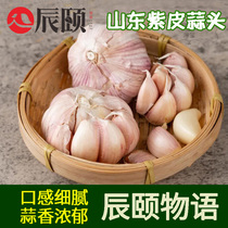 Chen Summer in Shandong Province of Jinxiang Fuselenium Purple dried garlic with 4 catties of garlic