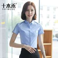 Маленький воротник синий (короткий рукав)