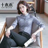 Маленький серый воротник (седьмой рукав)