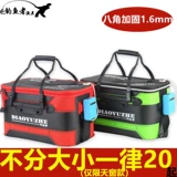 Рыбалка для рыбацкой рыбы в прямом эфир