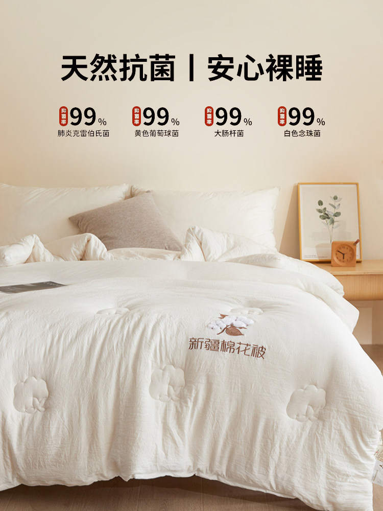 Xinjiang Cotton Quilt, Winter Quilt, Pure Cotton Quilt Core, Thickened for Winter, Warm, Special for Student Dormitories, Single-Person Spring and Autumn Quilt