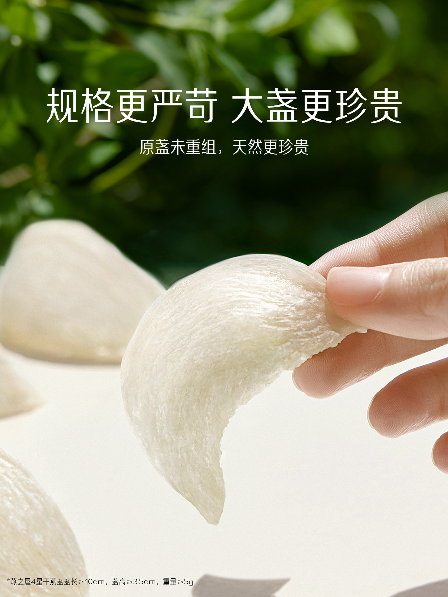 [New Year Gift Box] Yanzhiwu 5-Star Dried Bird's Nest 100g Imported from Indonesia, Authentic Bird's Nest for Pregnant Women