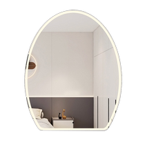 Dresser Mirror Desktop Led Dresser BEDROOM EGG-SHAPED INTELLIGENT MIRROR WITH LAMP INS CAN STICK WITH MAKEUP MIRROR