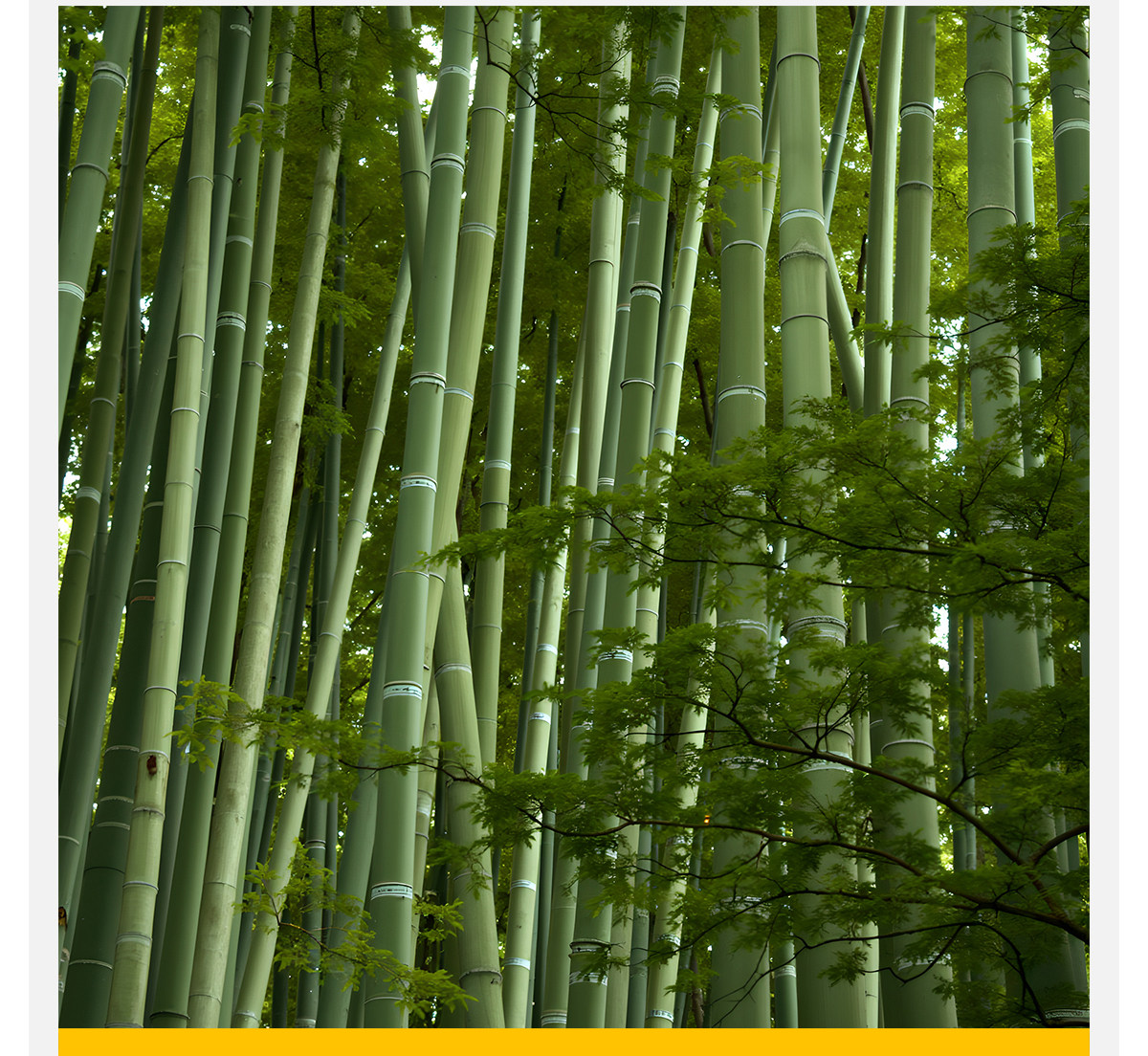 Бамбук фут Стул педали ноги лестница лестница артефакт домой подставка для ног табуретка ребенок пианино подушечка высокая подставка для ног Табуретка 