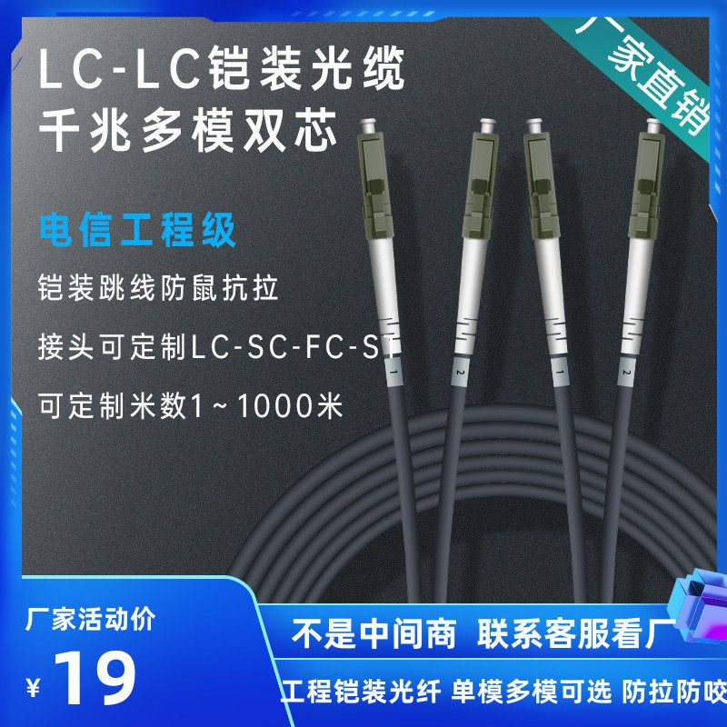 Indoor and outdoor fiber optic jumper telecom grade 3m armored multimode dual core LC SC ST FC meters can be customized