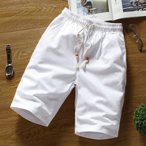 Summer cotton shorts for men large size  Solid color short