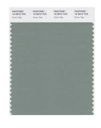 PANTONE colorful clothing home 16-5810TCX to 16-6339TCX single cotton fabric version color card