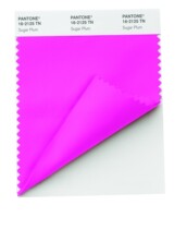 PANTONE PANTONE Nylon Bright Color 12-0645 to 18-4245tn Single Purchase Color Card Spot