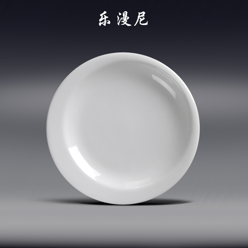 Le diffuse, the wrong body disc - pure white ceramic plate with 2 disk toppings hot dish fish dish