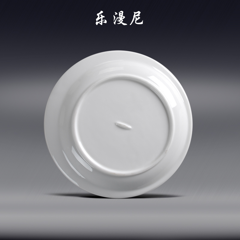 Le diffuse, the wrong body disc - pure white ceramic plate with 2 disk toppings hot dish fish dish