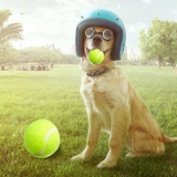 Теннисная высокая игрушка для тренировок, домашний питомец