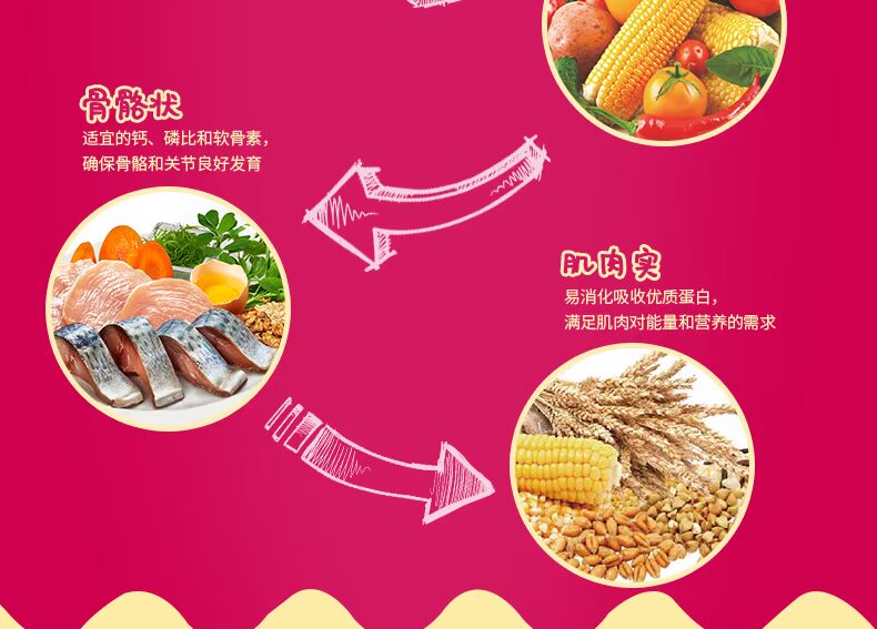 Nori Gold Physique Dog Food Bilbao Bomei Teddy Dog Food Small Dog Puppy Universal Dog Food 500G - Chó Staples mua thức ăn cho chó