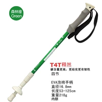 Новый раздел 4 Ши управлял лесным зеленым