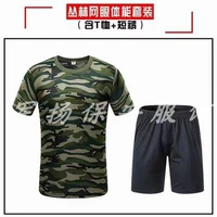 Трава и зеленая Т -манать+шорты