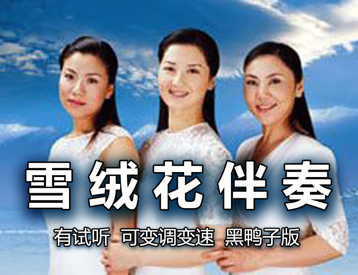 Edelweiss accompaniment (with audition, with invoice, black duck version, variable tone and speed)