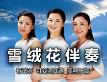 Velvet accompaniment (audition with invoice black duck version variable variable variable variability)