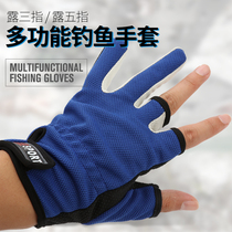 Fishing gloves exposed three five fingers winter non-slip waterproof fishing special sunscreen breathable fishing gear accessories fishing gear supplies