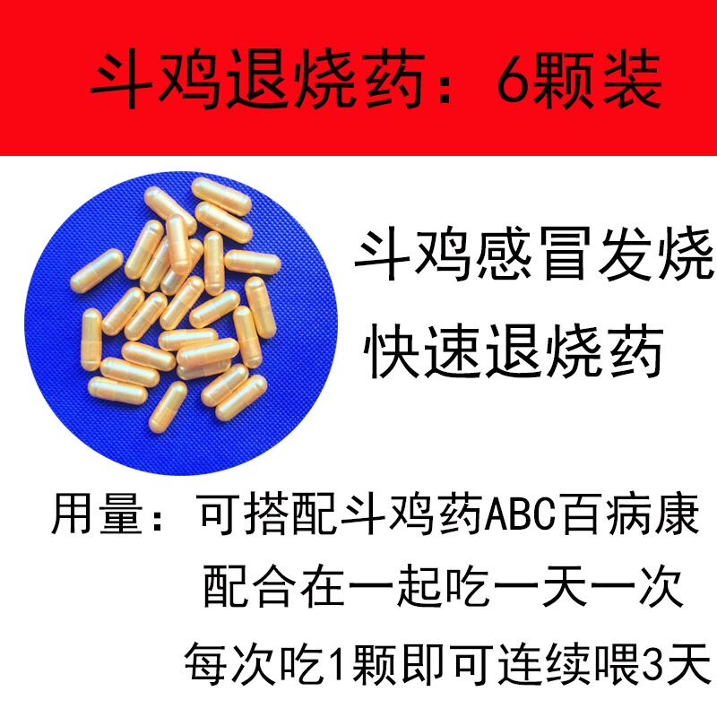 Gà chọi gà chọi gà chọi gà chiến đấu với bệnh gà chọi gà cung cấp gà chọi cung cấp gà chọi sốt gà hạ sốt - Chim & Chăm sóc chim Supplies 	cám cho chim vành khuyên	