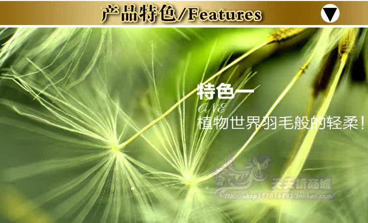 Slip jeunesse NK-153532 en coton - Ref 645405 Image 34