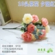 Желтый 10 -боловый закат Camellia Red