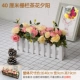40 см ограждения Camellia Sunset Забор Гибкая комбинация размещена