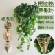 2 Отправить подарочный пакет Glue Apple Leaf