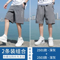 2501 Deep Grey +2503 Deep Grey