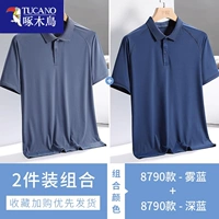 8790 Fog Blue + 8790 Темно -синий