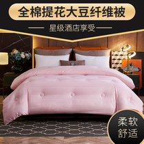 Winter thickened Warm Soybean Fiber Quilt Winter Quilt by Spring and Autumn Quilt All Season Universal Quilt by Core Single Double Quilt Bedding