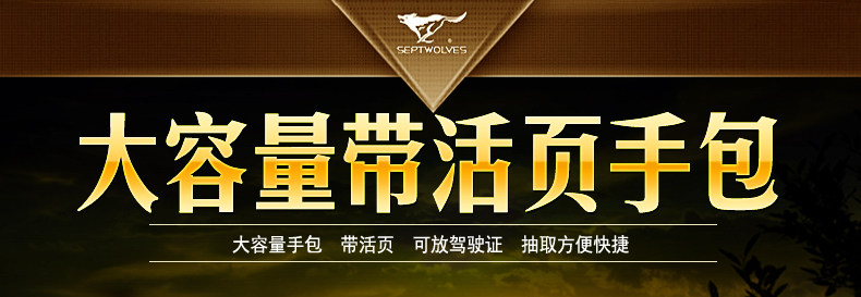 Sac pour homme - Ref 51189 Image 6