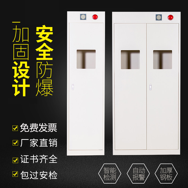 Explosion-proof cabinet Chemical safety cabinet Full steel gas bottle cabinet double lock cabinet explosion-proof cabinet