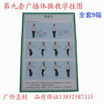 The ninth set of radio gymnastics teaching wall chart Radio exercise wall chart a full set of 9 physical education teaching instruments