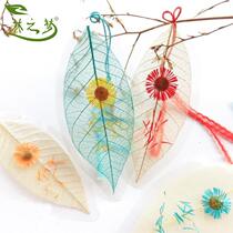 Lin Zimeng Little Chrysanthemum Stars Phlox Cox Hairy Pansy Snail Original Leaf Vein Bookmark Gift