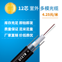 GYXTW center tube light armored outdoor 12-core multimode fiber optic cable Outdoor fiber optic cable