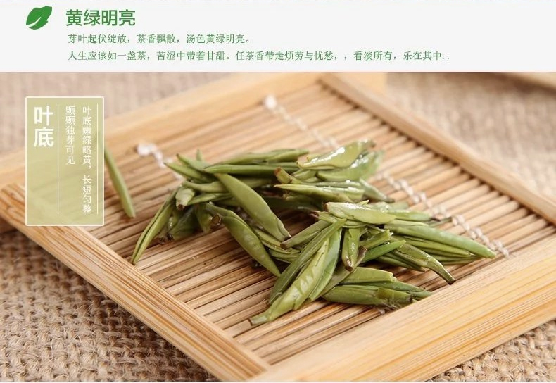 阳春白雪贵芽礼品盒装 雀舌茶叶 春茶 绿茶 贵州茶 西湖龙井茶类