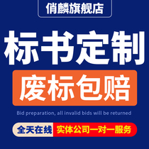 Preparation of tender documents preparation of tender documents audit reports preparation of tender technical solutions property procurement business tender writing