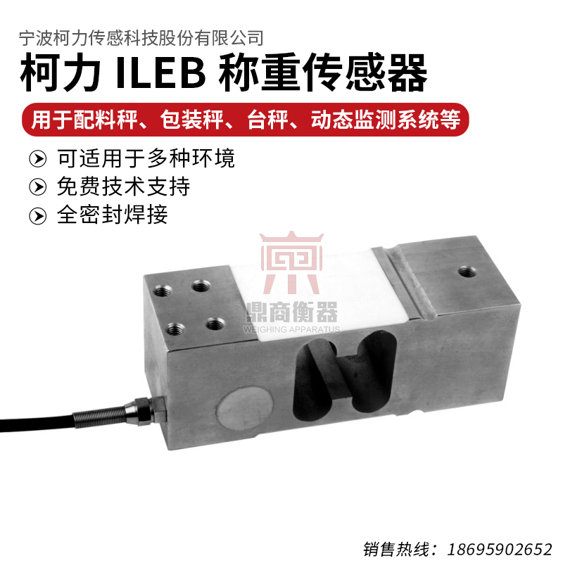 ILEB Weighing Sensor 100200300500kg Packaging Scales Special Offer Price